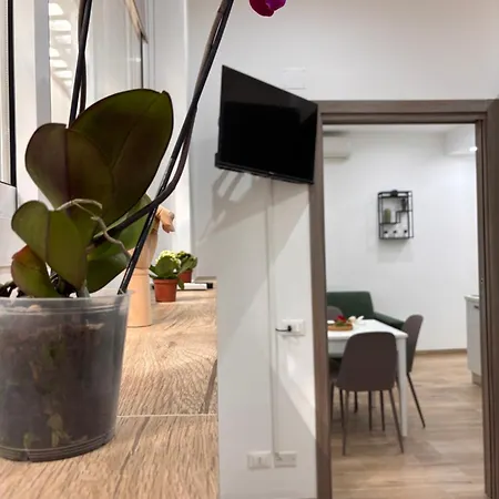 Garzilli Cozy * Palerme